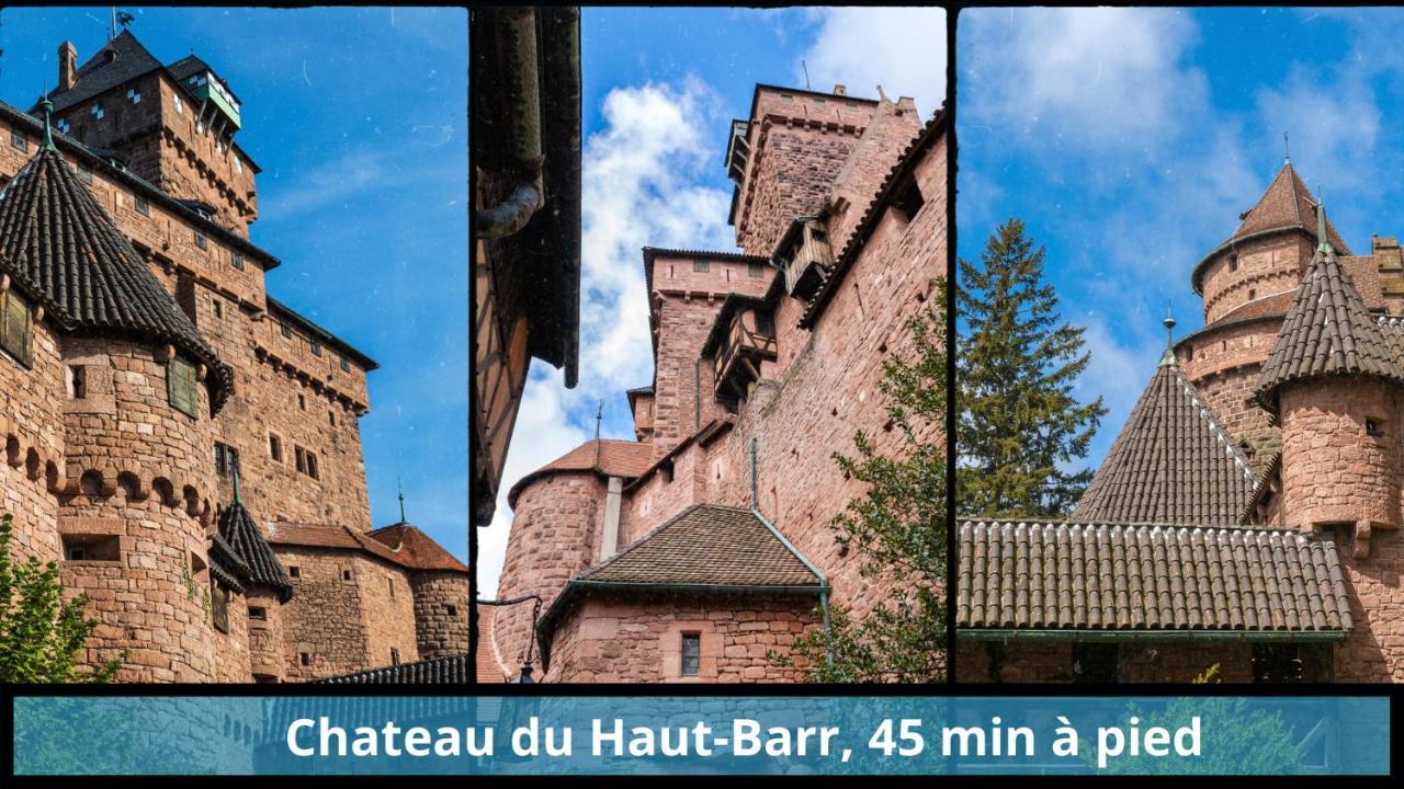 Apartmán Centre - L'Imperial - Parking Saverne Exteriér fotografie
